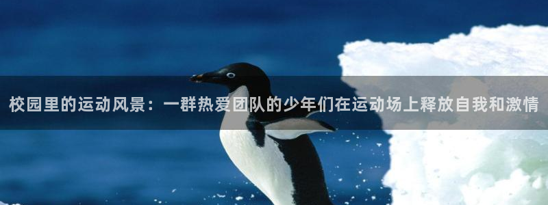 校园里的运动风景：一群热爱团队的少年们在运动场上释放自我和激情