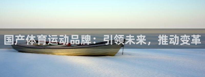 国产体育运动品牌：引领未来，推动变革