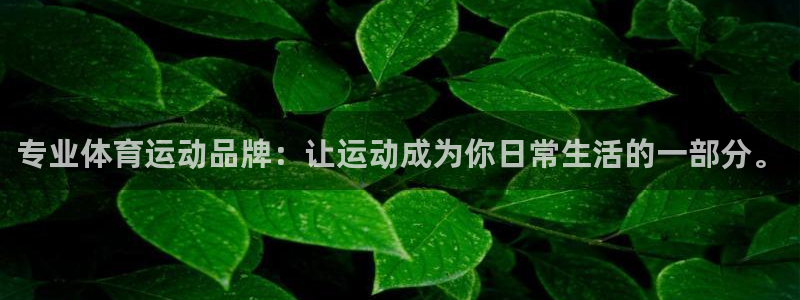 专业体育运动品牌：让运动成为你日常生活的一部分。