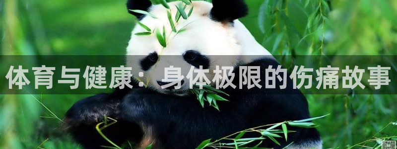 体育与健康：身体极限的伤痛故事