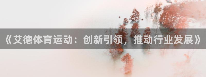 《艾德体育运动：创新引领，推动行业发展》