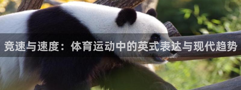 竞速与速度：体育运动中的英式表达与现代趋势